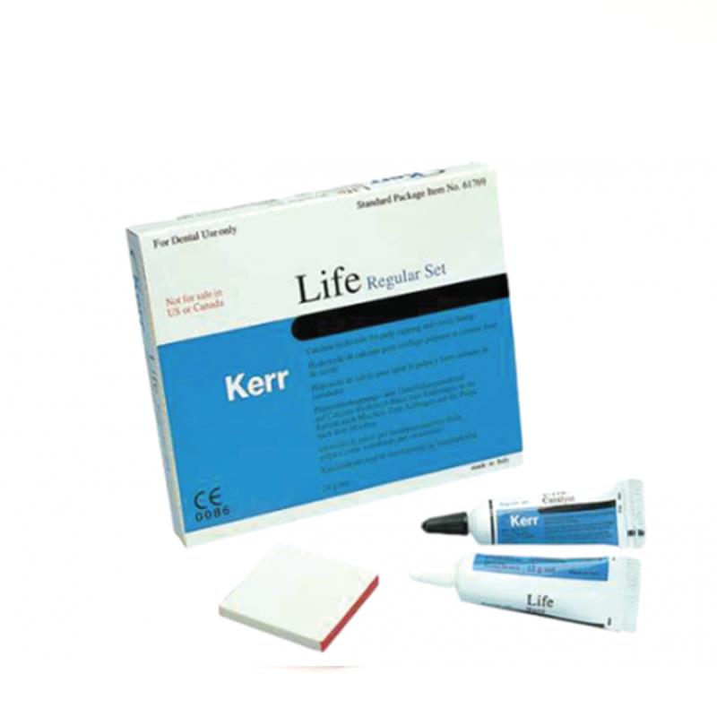 Лайф Регуляр набор / Life Regular Set паста 12гр катализатор 12гр 60769 купить